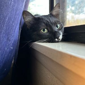 Meet your Posher, Christina